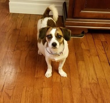 . Rosie .