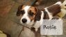. Rosie .