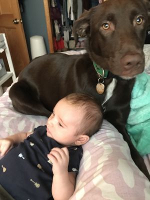 . ***COURTESY LISTING*** Moose .