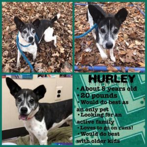 . Hurley .