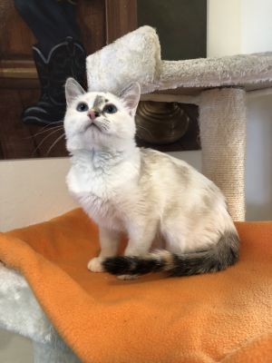 . Angela .