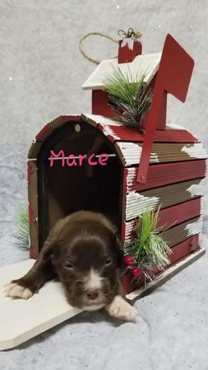 Photo of Marce