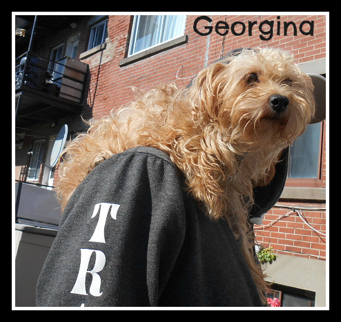 . Georgina .