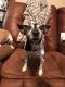 . Dottie .