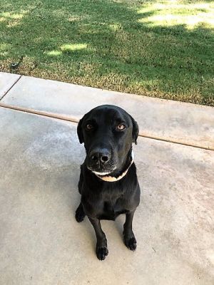 . MAX (COURTESY POST) .