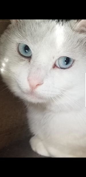 Photo of Powder