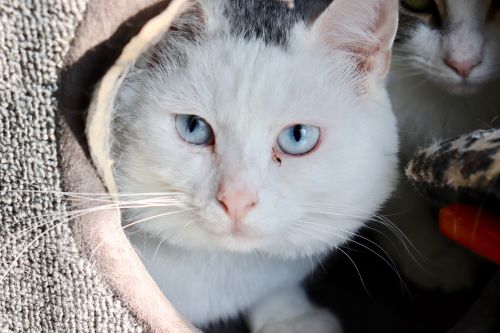 Photo of Powder