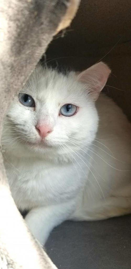 Photo of Powder