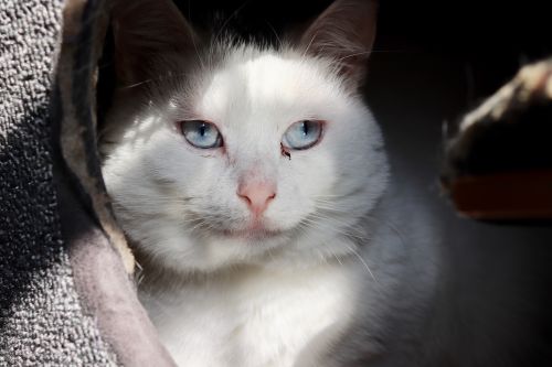 Photo of Powder