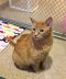 . Maggie- pending adoption .