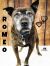 . ROMEO .