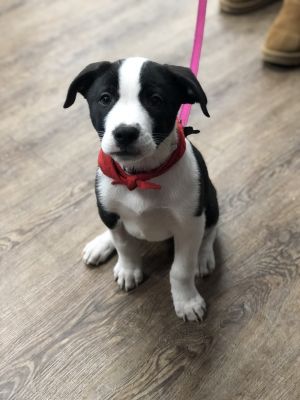 Photo of Thursday