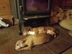 . ***COURTESY LISTING*** PERRY & STUBBY .