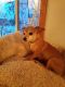 . ***COURTESY LISTING*** PERRY & STUBBY .