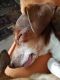 . ***COURTESY LISTING*** PERRY & STUBBY .