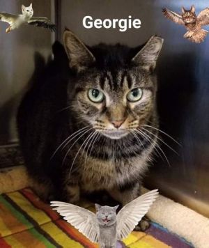 . Georgie .