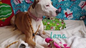 . Lena .
