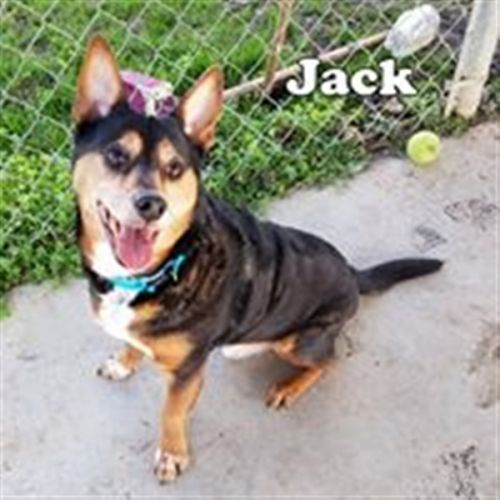 . Jack .