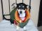 . Allison - I'm an easy dog! .