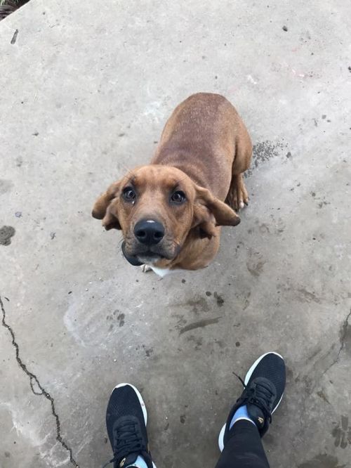 . Bella .