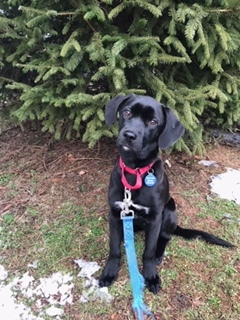 . Pippa .