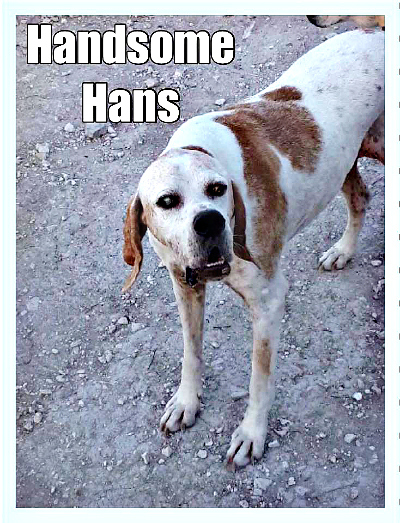 . Hans (arriving from Lebanon on January 25th) .