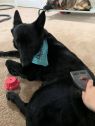. Kato .