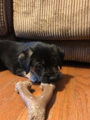 . Mabel .