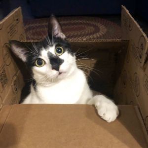 Photo of Sam