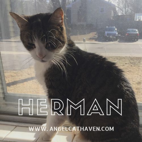 . Herman .