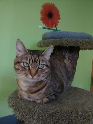 . BELLA .