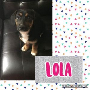 . Lola .