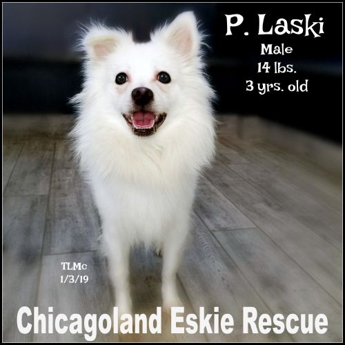 Pete Laski