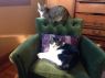 . Henry and Lola .