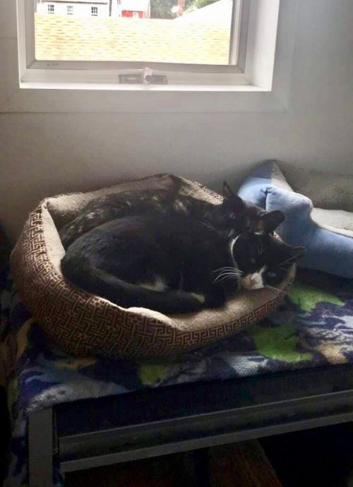 Photo of Cleo & Ranger
