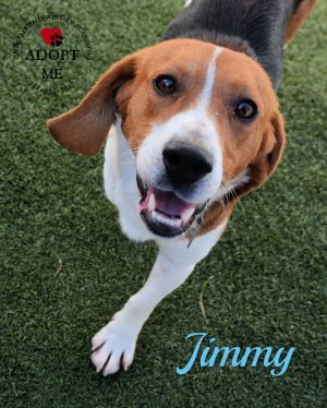 . Jimmy .