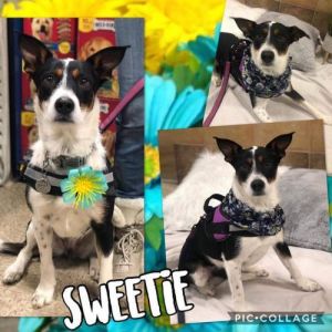. Sweetie .