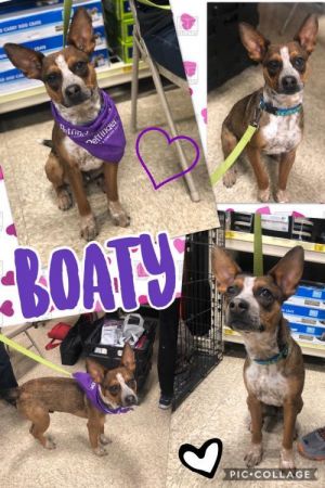 . Boaty .