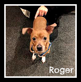 . Roger .
