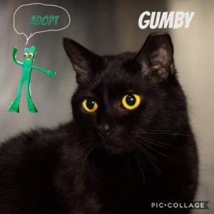 . Gumby -35905 .