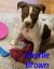 . Charlie Brown .