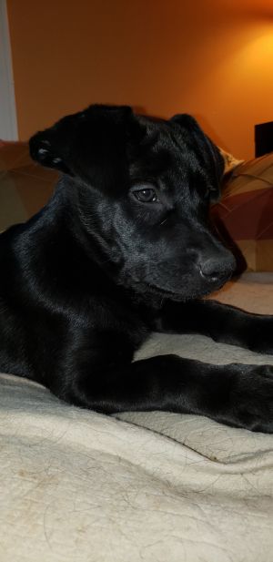 . Egon .