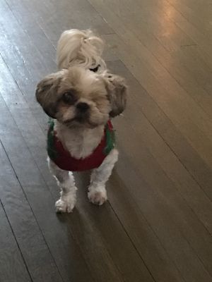 . Benji .