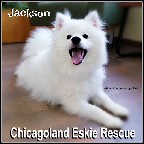 Jackson