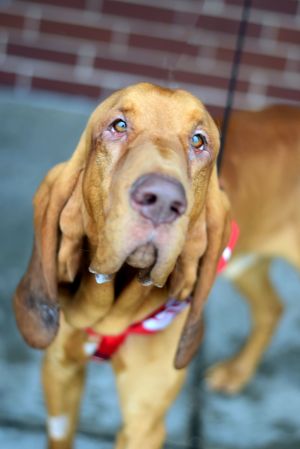 Photo of Major
