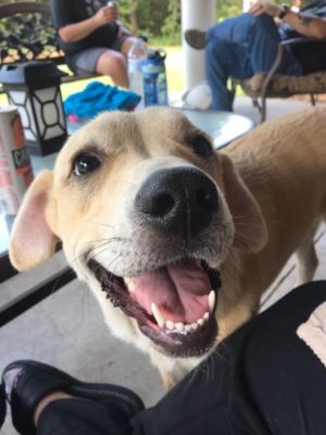 . Chloe .