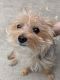. Munchie - Approved Adopter .