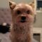 . Munchie - Approved Adopter .