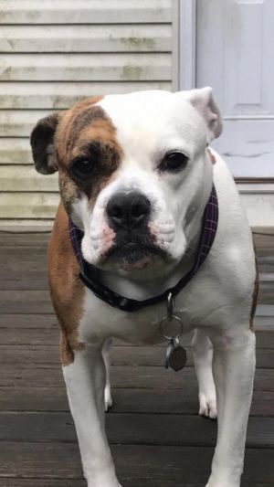. Bella .