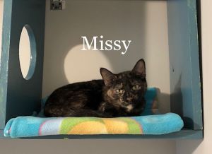 . Missy .